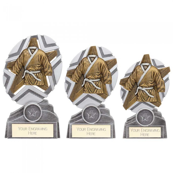 THE STARS MARTIAL ARTS TROPHY - 3 SIZES - 13CM - 17CM